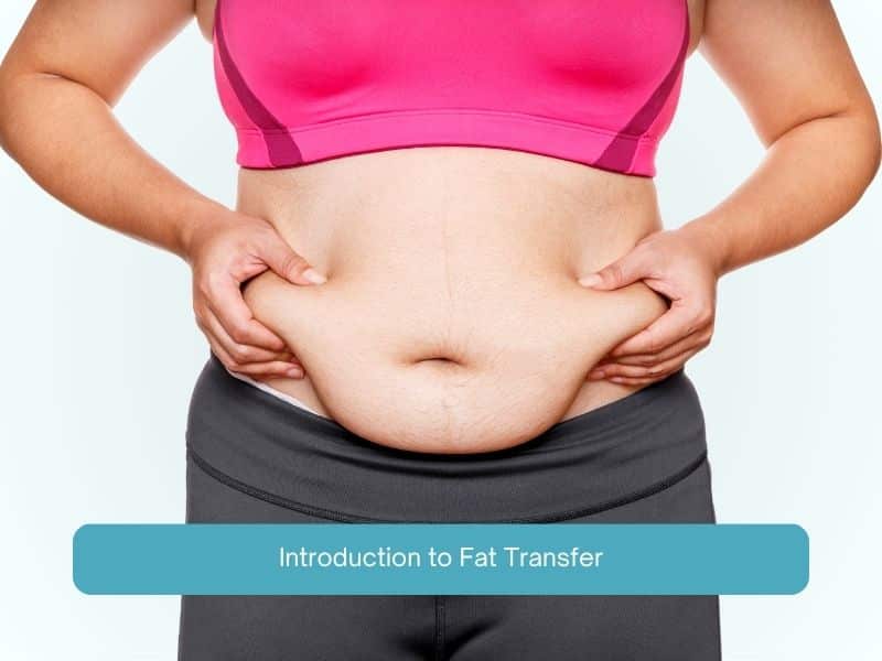 Introduction to Fat Transfer